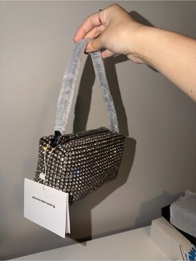 Alexander Wang Heiress Pouch